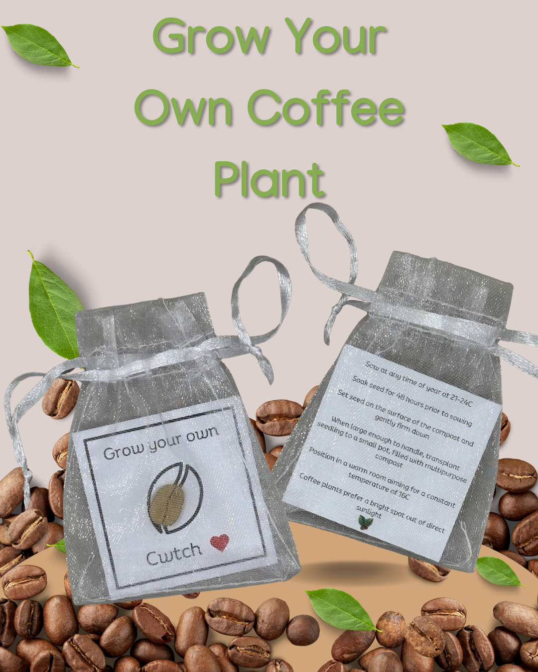 Cwtch Moethus Coffee Hamper